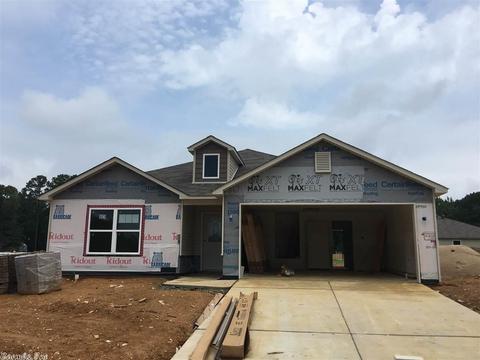 6360 Lena Dr, Alexander, AR 72002 photo 3