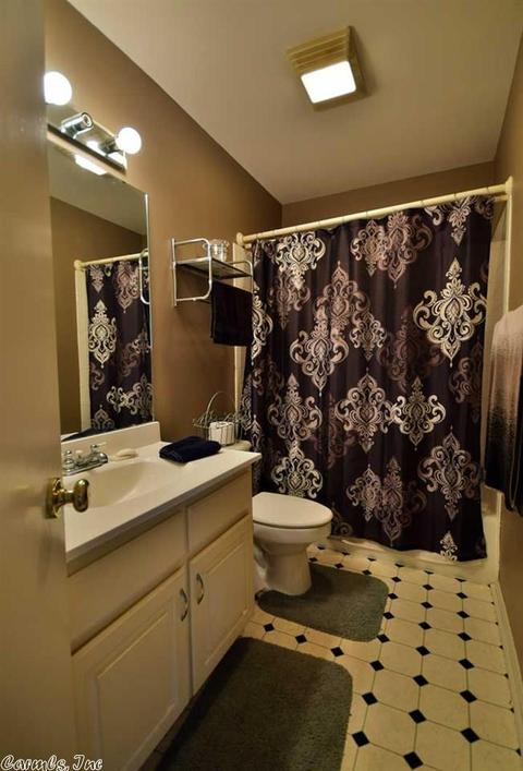7 Pinedale Cv, Mabelvale, AR 72103 photo 9