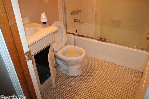 10105 Kling Rd, Mabelvale, AR 72103 photo 24