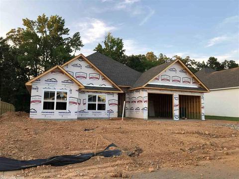 4316 Sloan Dr, Alexander, AR 72002 photo 1