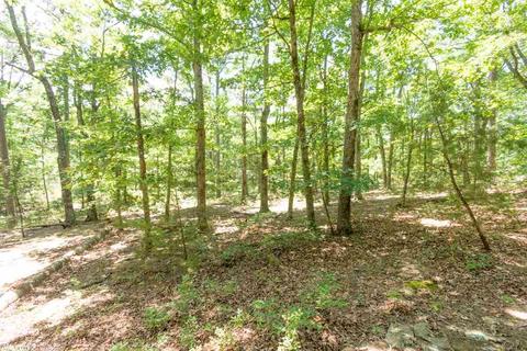 1716 Hub Willis, Mountain View, AR 72560 photo 10