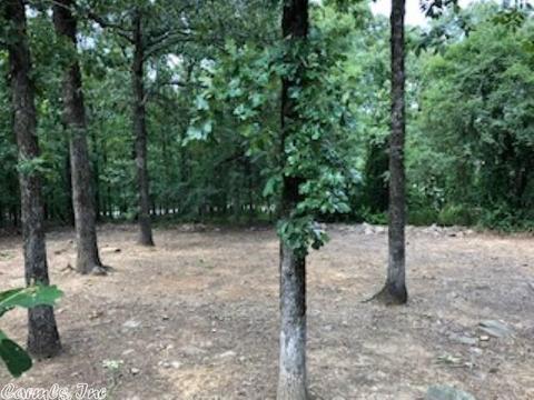 27 Seven Pt, Cabot, AR 72023 photo 22