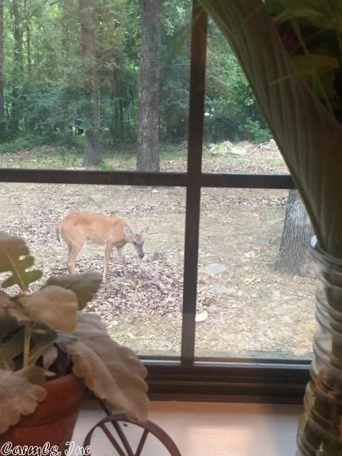 27 Seven Pt, Cabot, AR 72023 photo 23