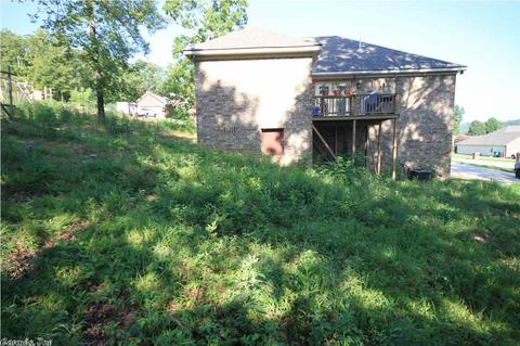17 Gold Bear Ln, Cabot, AR 72023 photo 35