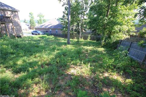 17 Gold Bear Ln, Cabot, AR 72023 photo 34
