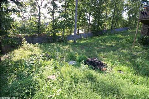 17 Gold Bear Ln, Cabot, AR 72023 photo 29