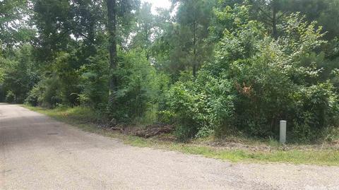 3075 Ragweed, Royal, AR 71968 photo 3