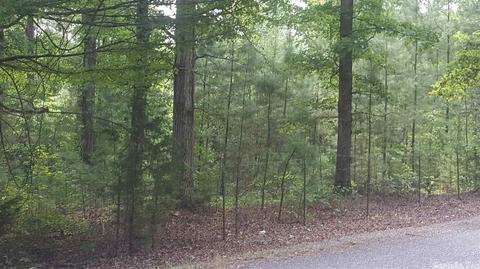 3075 Ragweed, Royal, AR 71968 photo 4