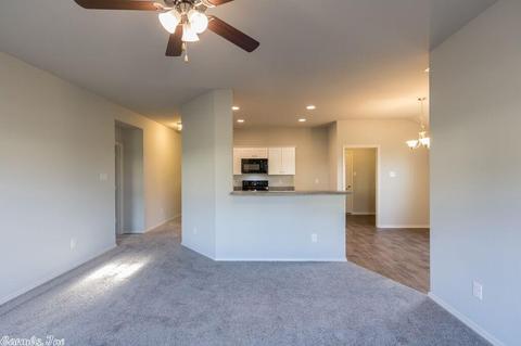 3297 Sage Grass Ln, Alexander, AR 72002 photo 13