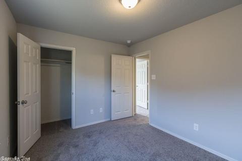 3297 Sage Grass Ln, Alexander, AR 72002 photo 5