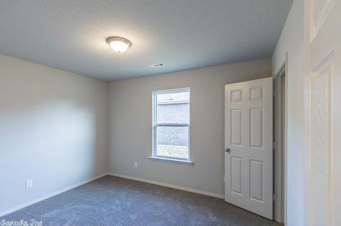 3297 Sage Grass Ln, Alexander, AR 72002 photo 18