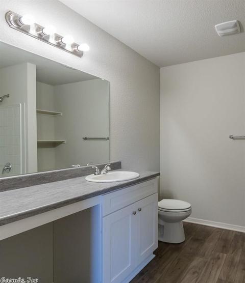 3297 Sage Grass Ln, Alexander, AR 72002 photo 29