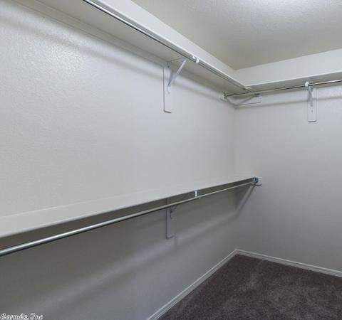 3297 Sage Grass Ln, Alexander, AR 72002 photo 17