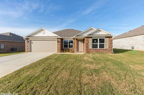 4024 Buckthorn Ln, Alexander, AR 72002 photo 3