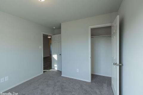 4024 Buckthorn Ln, Alexander, AR 72002 photo 14