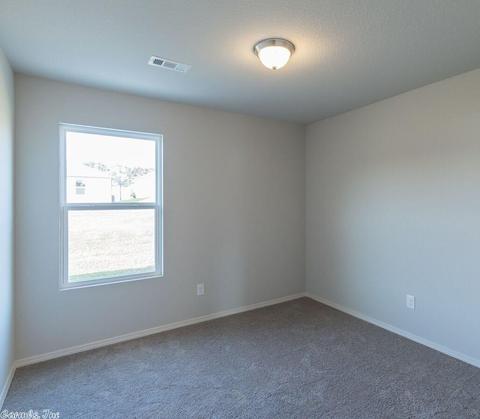 4024 Buckthorn Ln, Alexander, AR 72002 photo 30