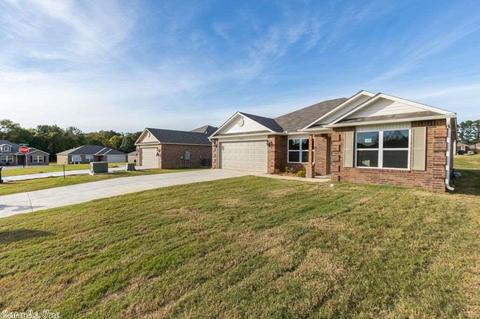 4024 Buckthorn Ln, Alexander, AR 72002 photo 4