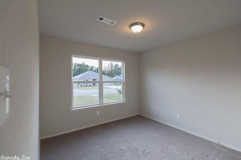 3305 Sage Grass Ln, Alexander, AR 72002 photo 12