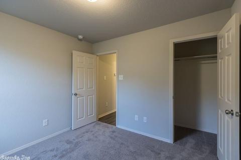 3305 Sage Grass Ln, Alexander, AR 72002 photo 23