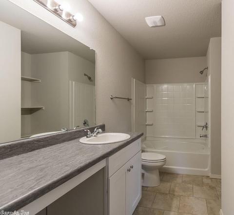 3305 Sage Grass Ln, Alexander, AR 72002 photo 15