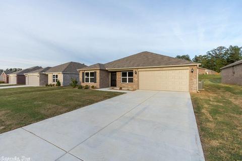3305 Sage Grass Ln, Alexander, AR 72002 photo 2