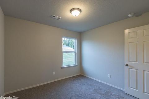 3305 Sage Grass Ln, Alexander, AR 72002 photo 14