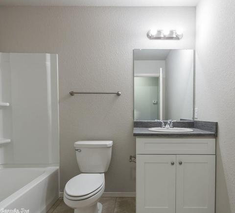 3305 Sage Grass Ln, Alexander, AR 72002 photo 13