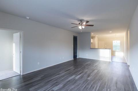 3305 Sage Grass Ln, Alexander, AR 72002 photo 8