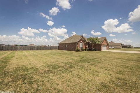 12829 Smarty Jones Dr, Scott, AR 72142 photo 4