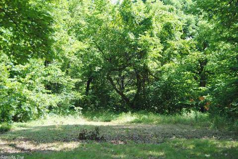 493 June Bug Dr, Marshall, AR 72650 photo 30