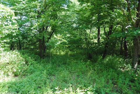 493 June Bug Dr, Marshall, AR 72650 photo 3