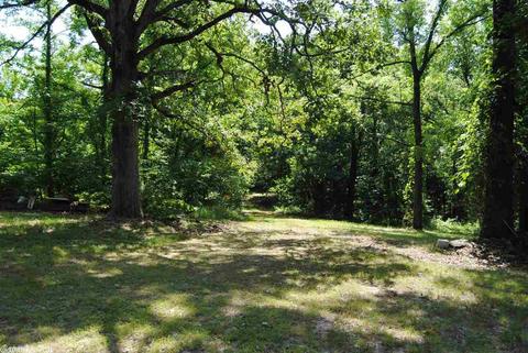 493 June Bug Dr, Marshall, AR 72650 photo 27