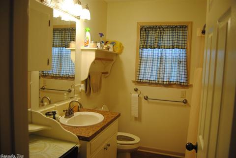 493 June Bug Dr, Marshall, AR 72650 photo 23