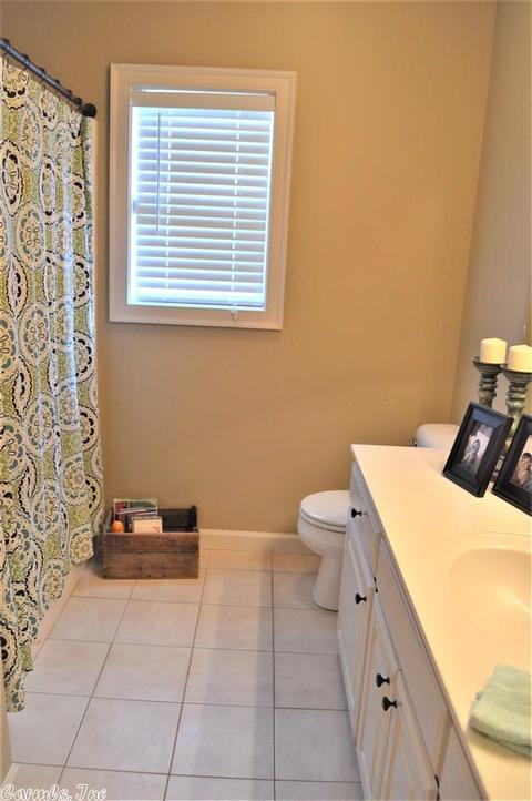 130 Aikman Pass, Conway, AR 72034 photo 22