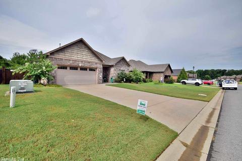 11 Oak Tree Cir, Conway, AR 72032 photo 4