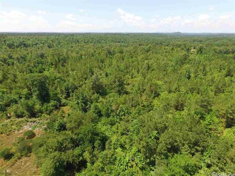 12 Acres Hwy 84 W, Amity, AR 71921 photo 5