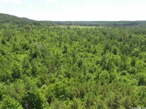 12 Acres Hwy 84 W, Amity, AR 71921 photo 3