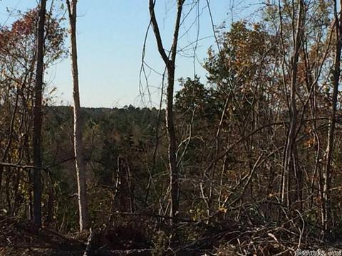 12 Acres Hwy 84 W, Amity, AR 71921 photo 8
