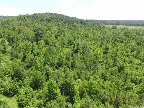 12 Acres Hwy 84 W, Amity, AR 71921 photo 2