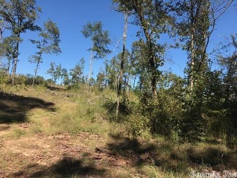 12 Acres Hwy 84 W, Amity, AR 71921 photo 9