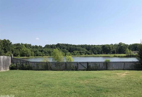 101 Willow Lake Dr, Ward, AR 72176 photo 22