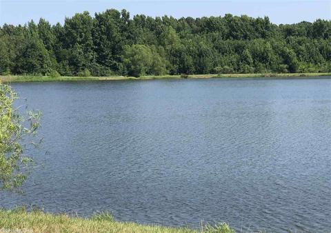 101 Willow Lake Dr, Ward, AR 72176 photo 25