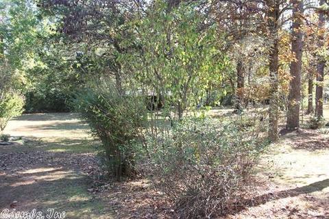 142 Deer Park, Clinton, AR 72031 photo 23