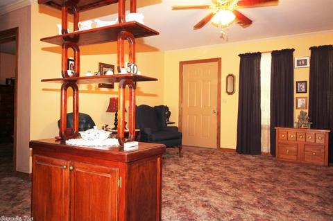 142 Deer Park, Clinton, AR 72031 photo 12