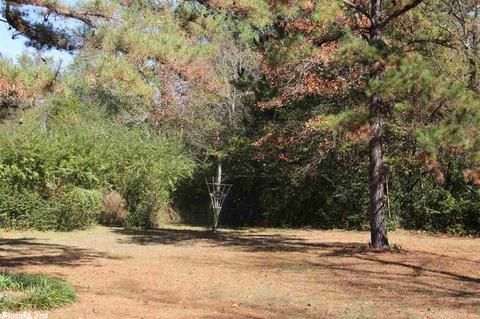 142 Deer Park, Clinton, AR 72031 photo 24