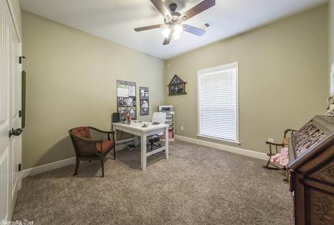 182 Crystal Lake Dr, Austin, AR 72007 photo 27