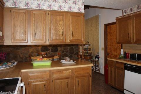 506 E Main St, Mountain View, AR 72560 photo 13