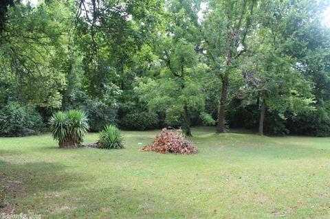 506 E Main St, Mountain View, AR 72560 photo 25