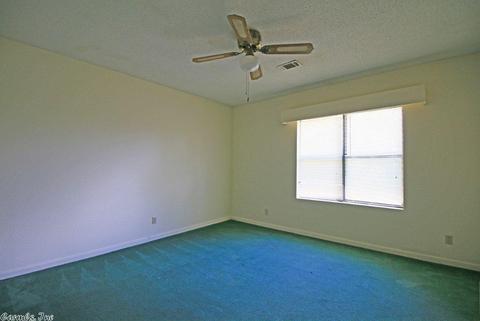 123 Ring Cv, Batesville, AR 72501 photo 9