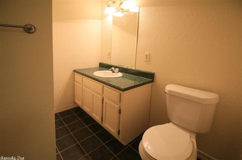 123 Ring Cv, Batesville, AR 72501 photo 4
